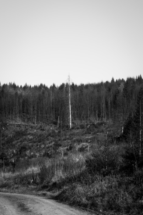 Abenteuer Analog 2