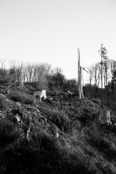 ersteinert